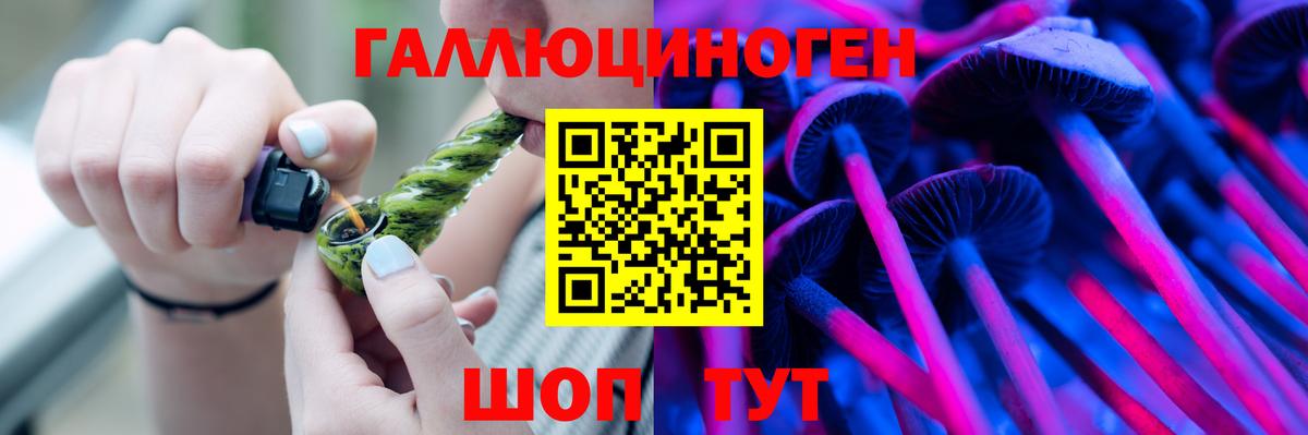 Галлюциногенные грибы прущие грибы  Вход с VPN  Заволжье 